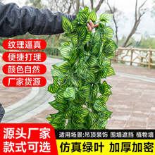 批发仿真葡萄叶藤条藤蔓植物假树叶管道吊顶装饰花藤假花塑料绿叶
