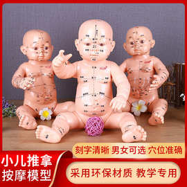 小儿推拿身体穴位中医按摩经络图书教学月嫂培训娃娃模型宝宝保健