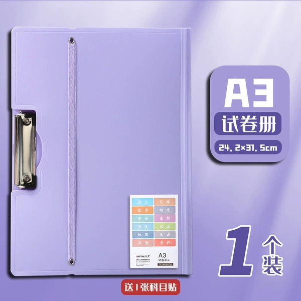 Morandi purple