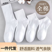 ��ɫ�m�����ļ�Ůʿ��Ͳ�m ��ɫ���m�\�������@���m �������m���l