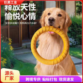 狗玩具球大型犬互动圆环飞盘发声拉力环金毛边牧磨牙耐咬解闷神器