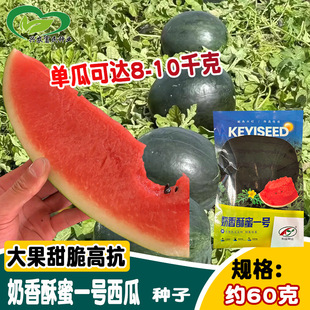 ������������һ̖���ϷN�� ����������ز� �t��ɳȿ�����������