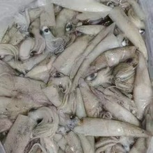 冷冻鱿鱼鱿鱼速冻鱿鱼加州鱿鱼大章鱼铁板烧烧烤20斤一件食材备用