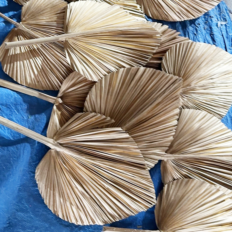 Home decoration leaves Nordic style Pu Fan dried flower sunflower leaf palm leaf aesthetic flower arrangement material dried flower wedding