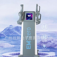 磁気痩身美容修復引き締めリフティング減量磁気痩身美容サロン機器ベストライン