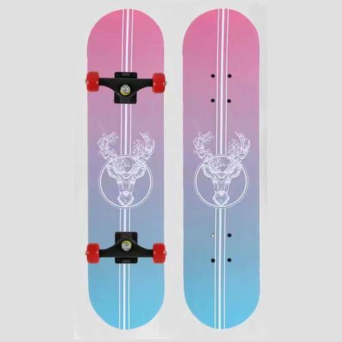 Skateboard for Beginners Aged 2-15, Dual Deck Durable Wheels, Youth King of Glory Cartoon Skateboard