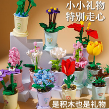 ���ݘ���С�w��ƴ�b��ߔ[��õ�����������eľŮ�����նY��̎���