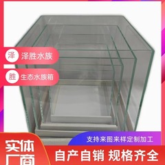 超白水槽ガラスセット60五合一水槽造景生態水槽水陸小型両生類セット
