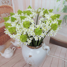 工厂直销仿真水仙花单枝澳洲星伯利恒之星雀梅绢花假花软装插花