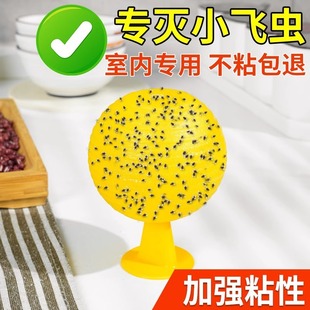 Fruit Fly Trap to Kill Small Flying Insects, Indoor and Outdoor Mosquito Killer, Kitchen Midge Insect Sticky Ball Fly Bait