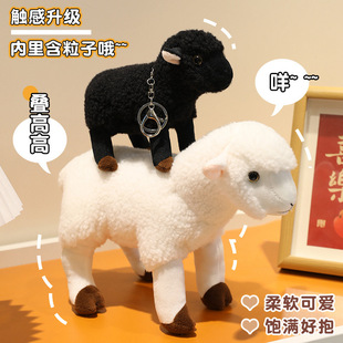 �羳���������кڰ׾d��ë�q���ɽ����ż���նY�����޹�����؛