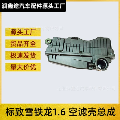 1420P0 1444Rs 1420R6 1420P1 Hava Filtri Korpusu Peugeot 307 206 C4 üçün
