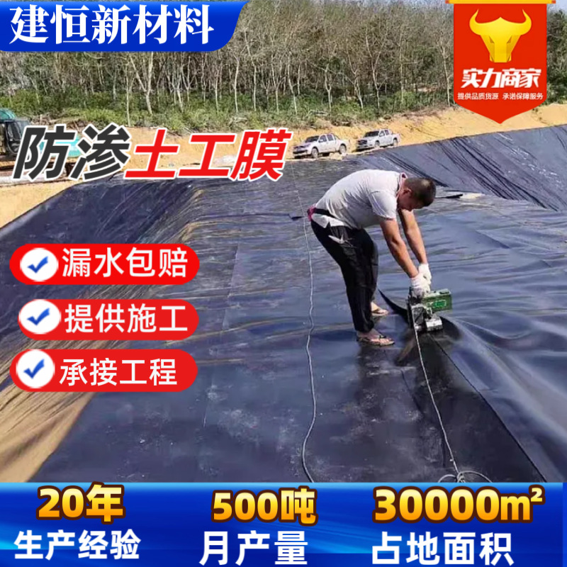 沉淀池土工膜猪场沼气池黑膜氧化塘污水处理场1.5mm防渗土工膜