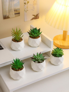 �͏d�҃����ԼҾ��k�������湤λ�ٻ��b�ֲ��������GֲС�[��