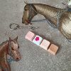 Four-button transparent case - nude pink