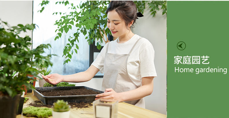 5faa2fa3-ec60-4fdc-aa1a-3d2514d47573.jpe