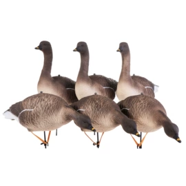 动物工艺品;射击射箭用品;动植物仿真