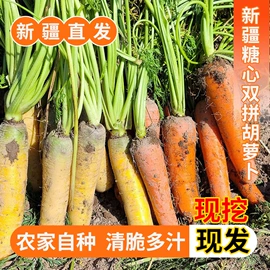 红枣干;葡萄干;哈密瓜