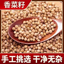 当季新货香辛料香菜籽香子芫荽子芫茜孑胡荽籽香料调味卤料调味料
