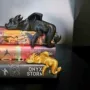 独立新品sitterbookshelf书架