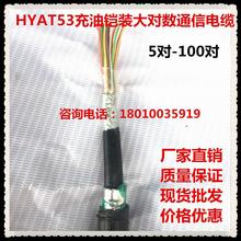 HYAT53室外大對數通信電纜充油鎧裝電話線5 10 20 30 50 100對