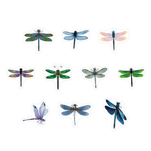 500�����������N������diy�߼��йPӛ���֙Cipad�b�ˮ���~�N