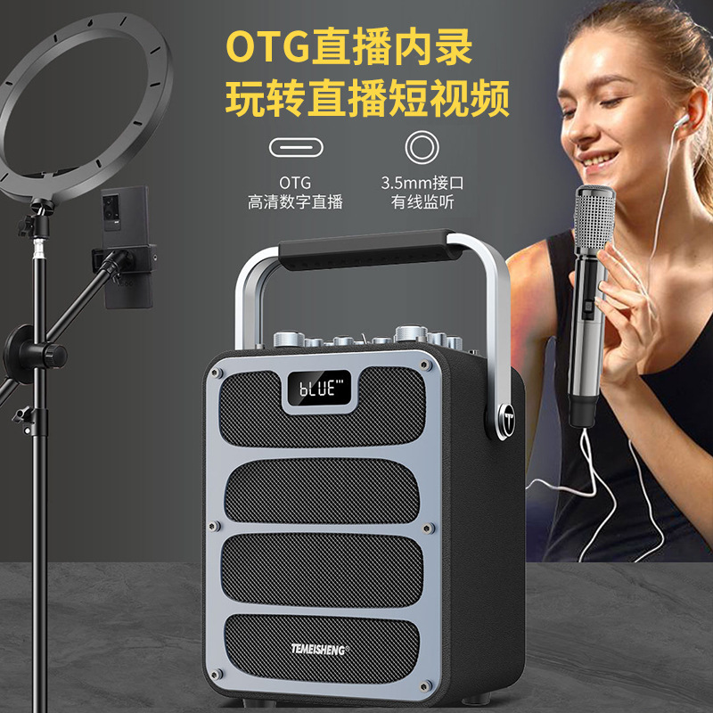 Temeisheng 屋外ライブブロードキャストカラオケ Bluetooth オーディオ楽器弾き語りスクエアダンス大音量ポータブルスピーカーマイク付き|undefined