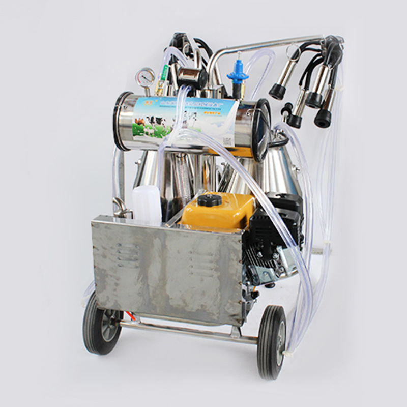 Ordeñadora Motor Gasolina — Equipo Ganadero Doble Propósito