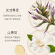 Goddess beauty light licorice Camellia moisturizing lotion moisturizing moisturizing moisturizing Brightening Lotion suit female genuine goods