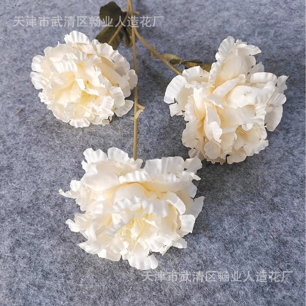 3 heads of champagne