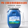 改性施工桥面聚合物涂料