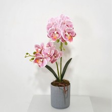 �����m�辰���滨������3D�����m�ҾӲ�ײ��������k���[��