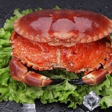 ���з���ĸз�з�r�����з����з��зз�䌚з����