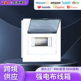 多功能照明总开关箱 标准型开关回路家装箱 企业家用强电布线箱