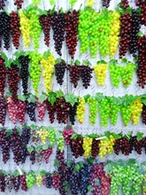 ���������Ѵ��~�ӻ��ٗl���������b�ˮ���߲˒���Gֲ����