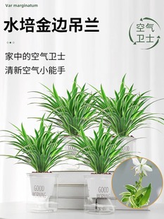 ��߅���m�����҃ȿ͏dֲ�ﻨ���·����Ã����՚�ˮ�����˴����Gֲ