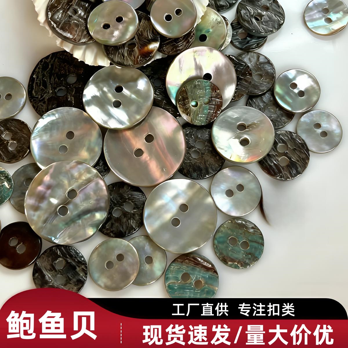 现货速发黄金鲍鱼贝纽扣西服衬衫扣子泳衣高档两眼天然贝壳纽扣