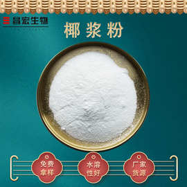 椰浆粉98% 椰子汁粉 椰子果粉 椰浆速溶粉昌宏供应 现货包邮