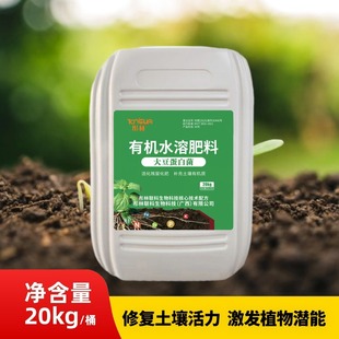 ͮ���ЙC�� ˮ�ܷ� �󶹵��� ���|���a �I�Bȫ�� ˮ���߲˷Nֲ