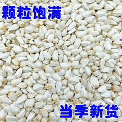 New arrival red flower seeds, red flower seed, melon seeds, hamster, parrot, pigeon food, parrot bird food