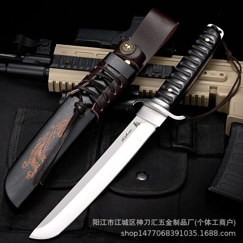 드래곤과 피닉스 샤오지이