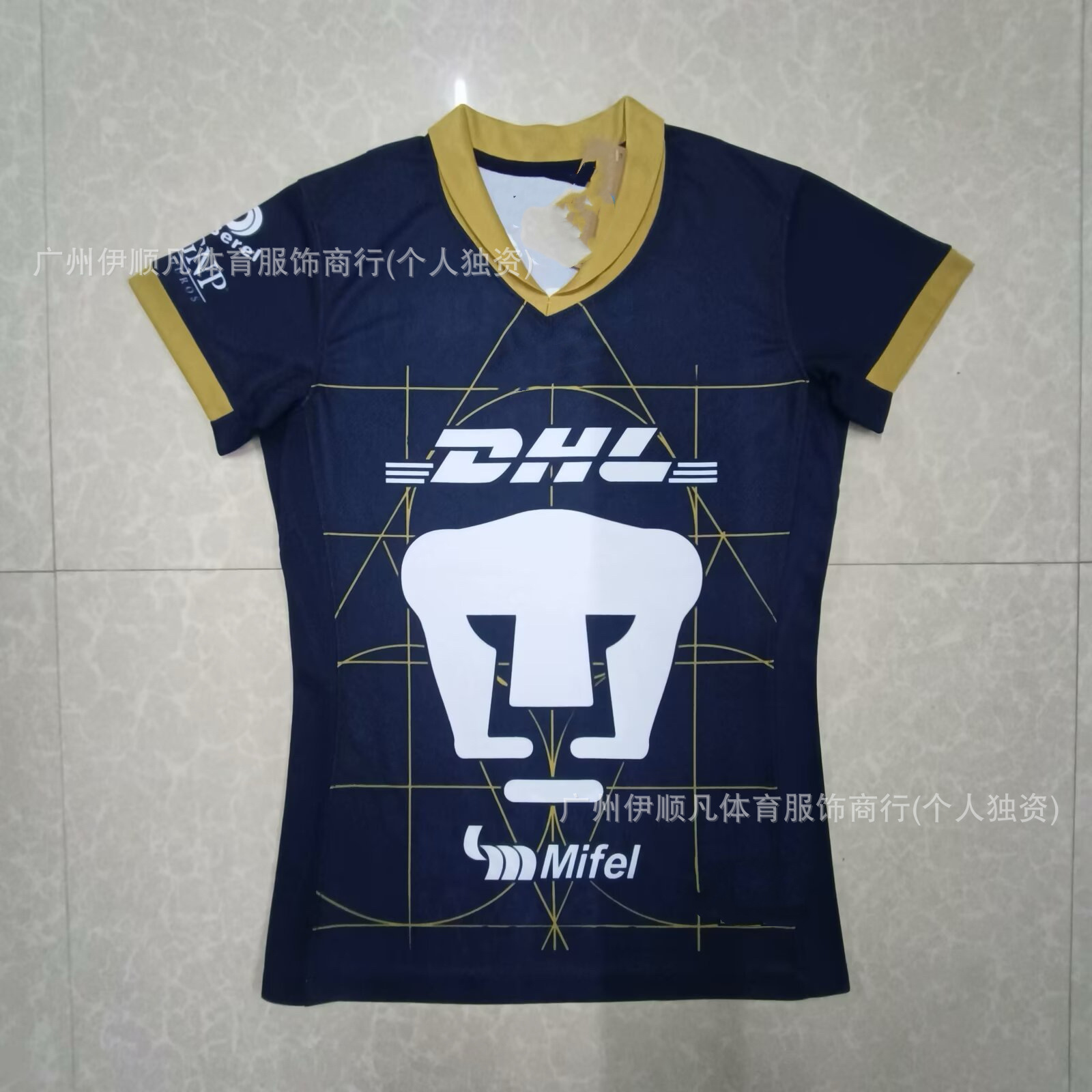 2425 아메리칸 라이온 원정 경기