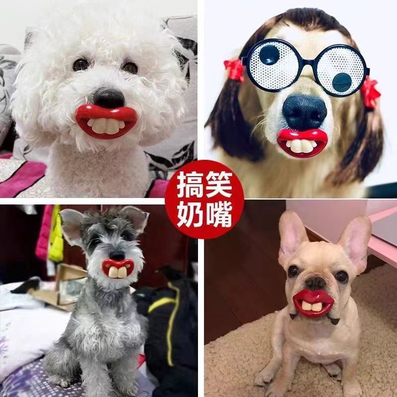 赤い唇のウサギの歯と同じスタイルの面白い犬のおしゃぶり面白いおもちゃの出っ歯ペットの犬面白いおしゃぶり|undefined