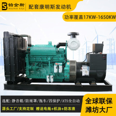 発電機300キロワットカミンズエンジン銀行養殖場孵化場予備300KWディーゼル発電機