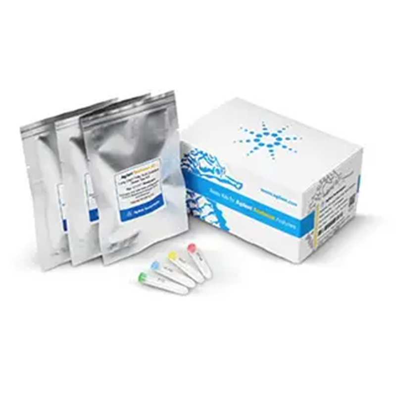 103771-100安捷伦 Agilent XFp T 细胞代谢功能剖析试剂盒