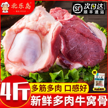牛肉新鲜牛窝骨筋带肉红烧食材牛大骨头牛膝盖生鲜冷冻批发商用