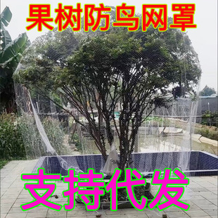 �������B�W��W���@���o�W������������r���Bֳ�~��������B�W