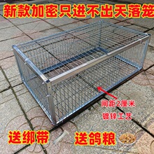新款加密只进不出鸽子笼天落笼户外撞门笼全自动收鸽笼捕鸽子神器