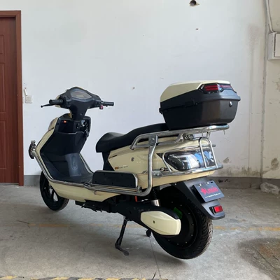 Elektrikli motosikletlər the Manufacturer, High-Power Adult Electric