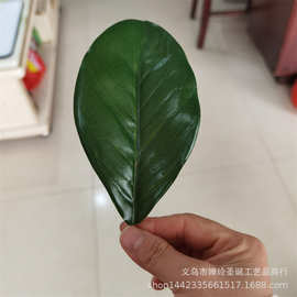 仿真植物仿真花叶配件 小玉兰叶 仿真玉兰花胶布叶片配件大量批发